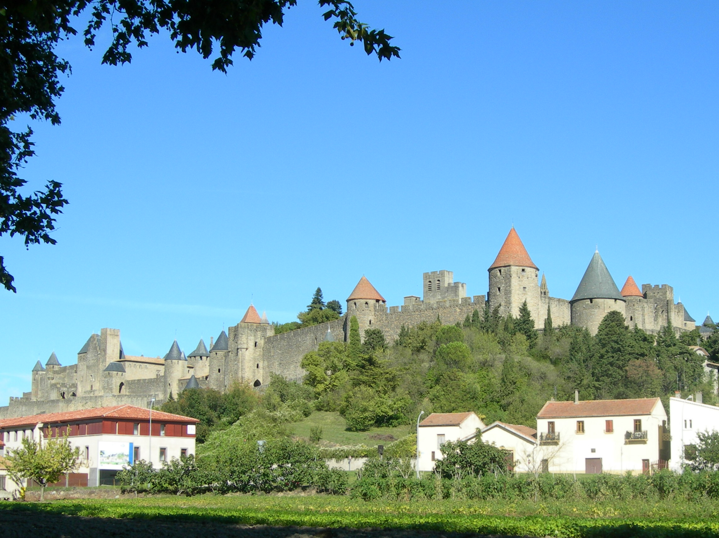 carcassonne-from-edge-of-campsite.JPG